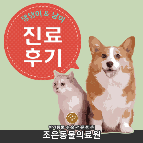 아이조은헤어 이미지