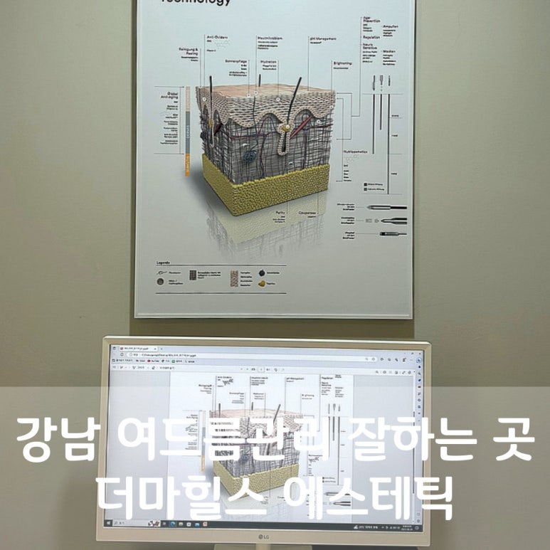 더마힐스 에스테틱 이미지