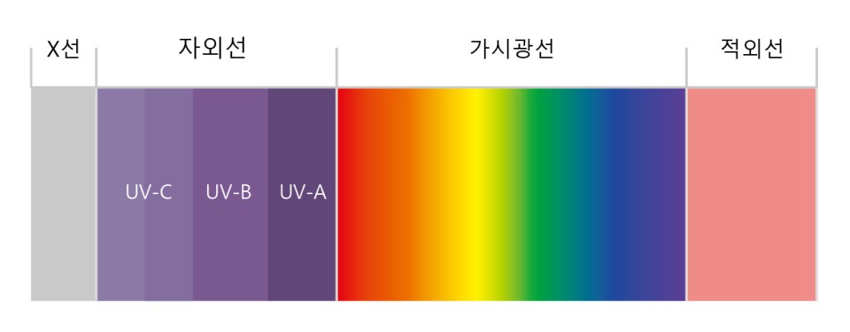 바디퍼포먼스짐 이미지