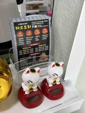 타코모리 이미지