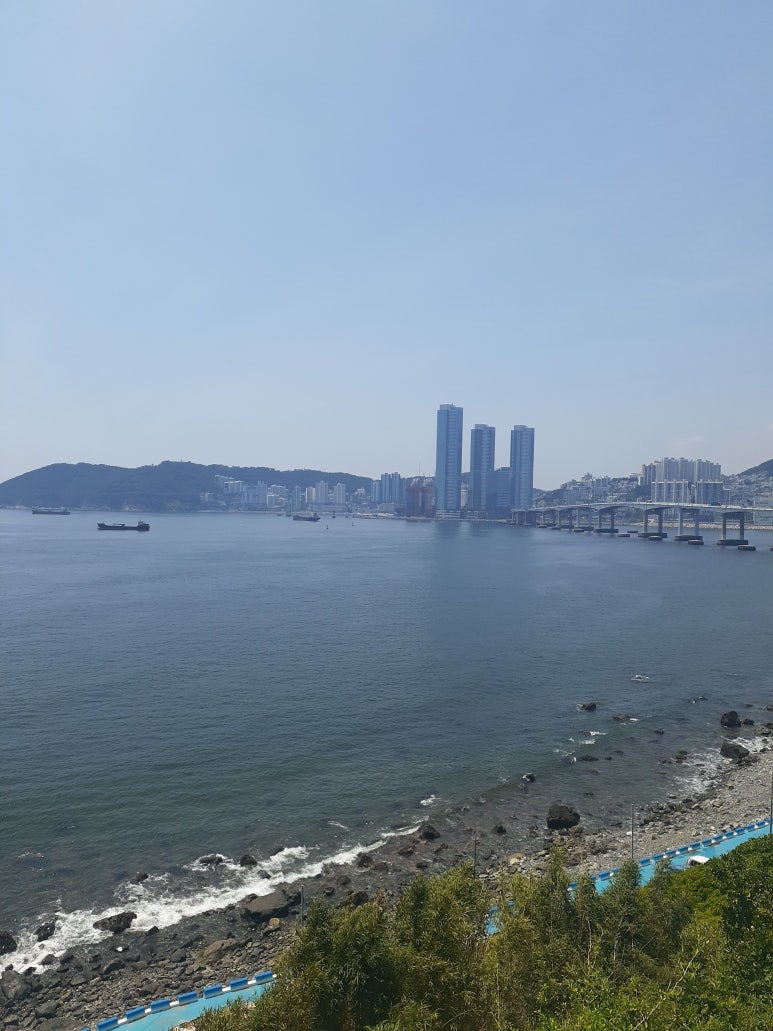 신기커피 이미지