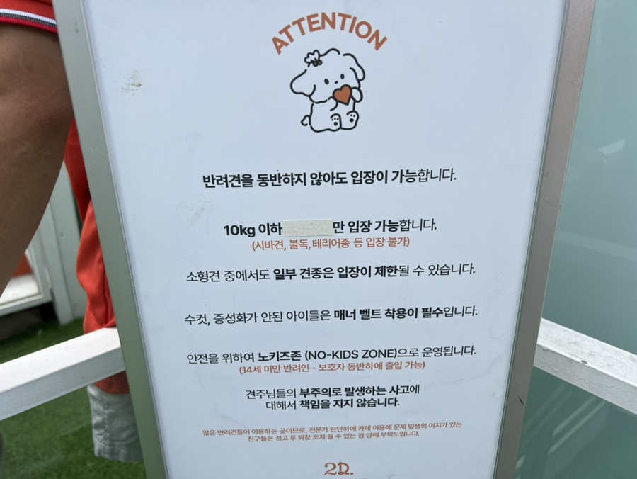 강남 애견 데이케어 2도 라운지, 3시간 이용 후기 — 사진 4