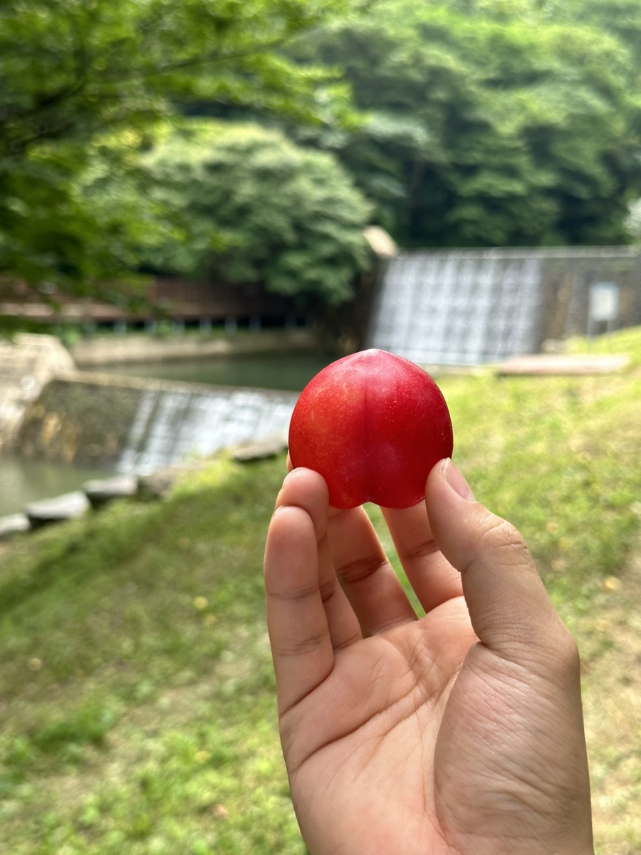 왕돌판구이한판목포 이미지