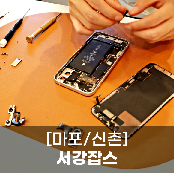 서강잡스 이미지