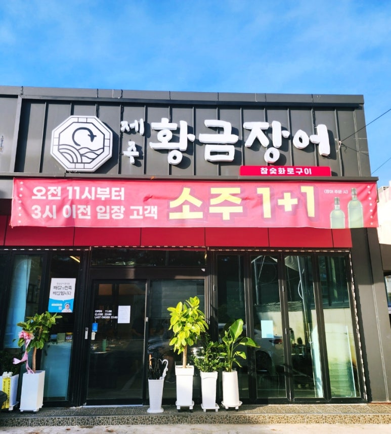 제주황금장어 이미지