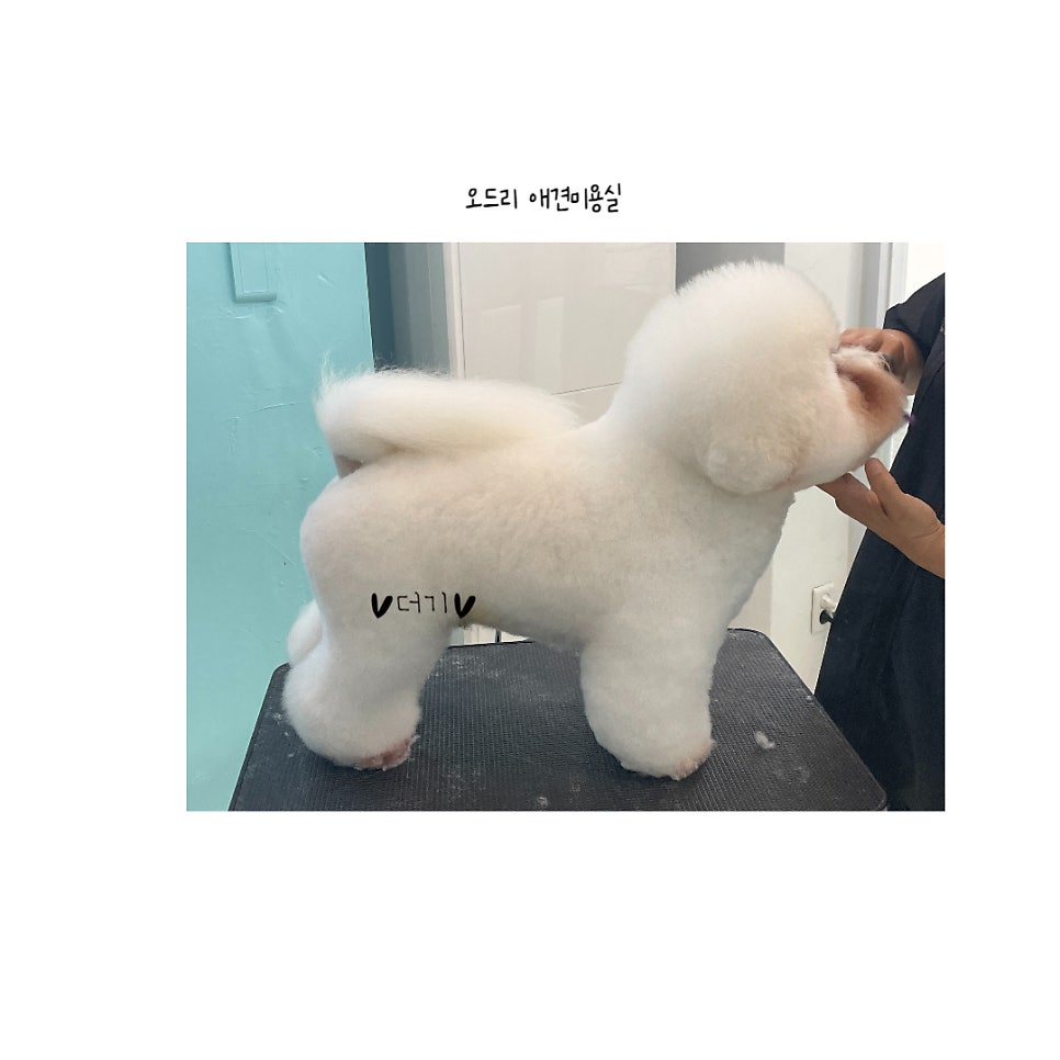 더기미용실 이미지