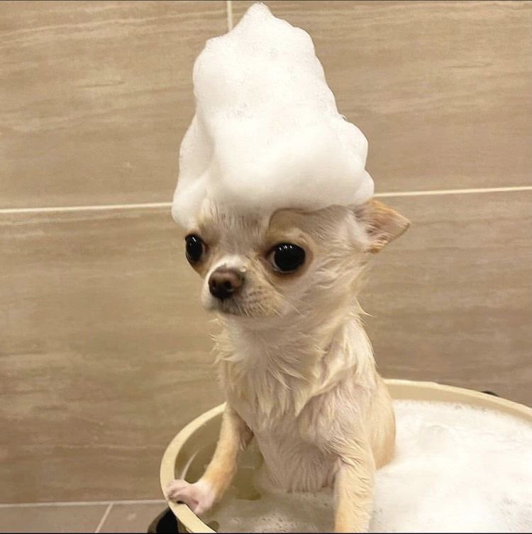 나라이 이미지