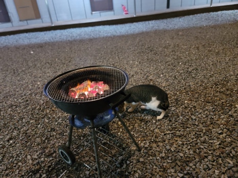 오투글램핑 이미지