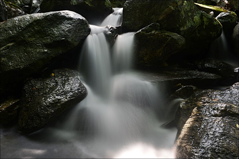 지장산 사진 6