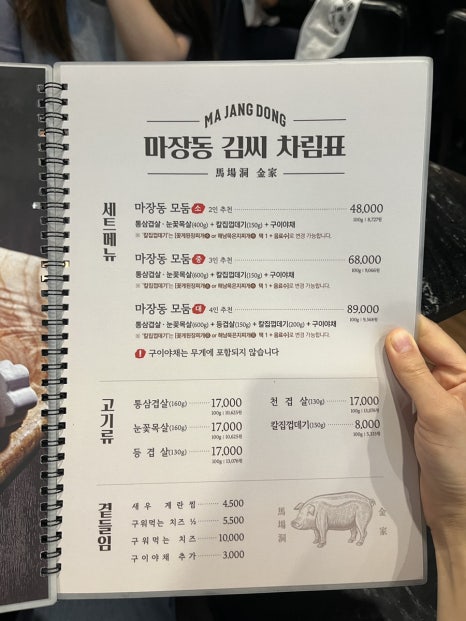 카멜리온 이미지