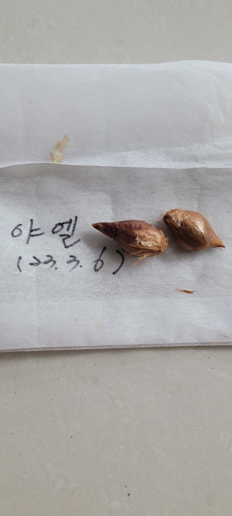 테이스코 이미지
