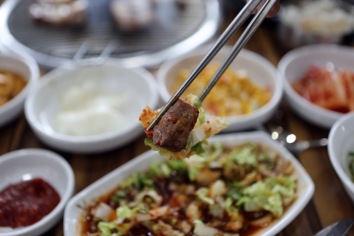 돈제주 이미지