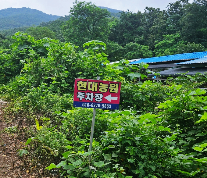 현대농원 이미지