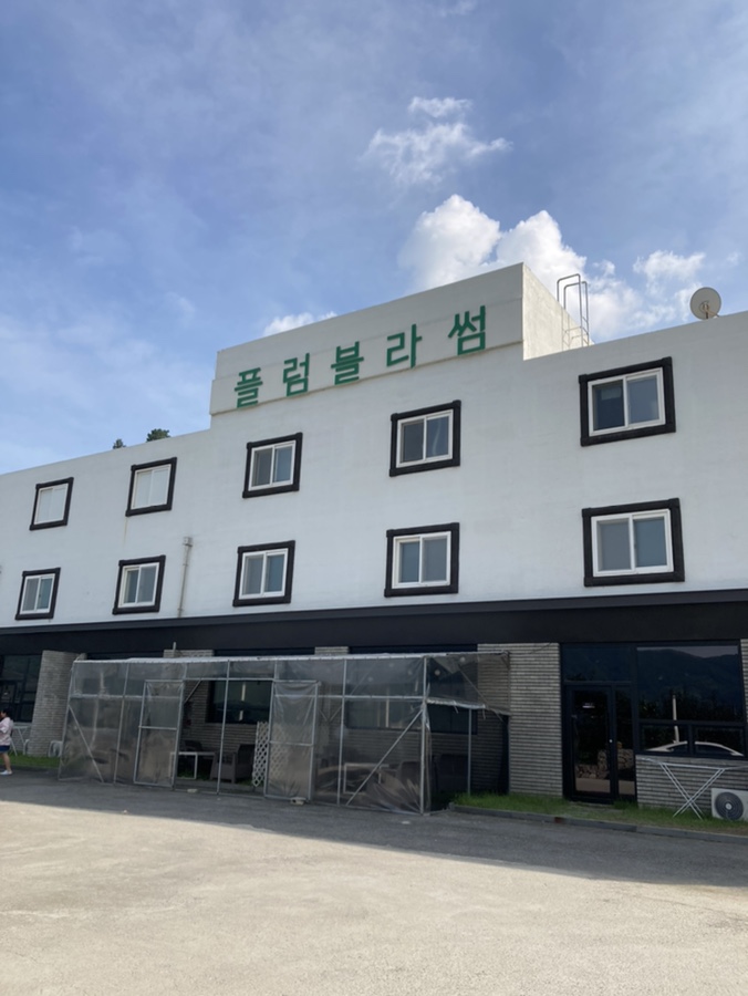 플럼블라썸 이미지
