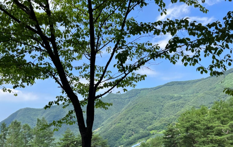 구름품은캠핑장 이미지