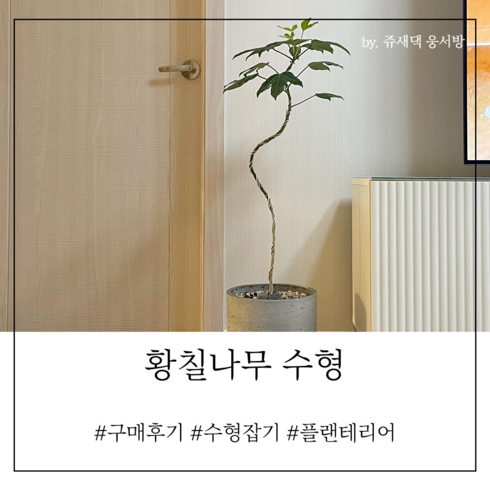 수형유통 이미지