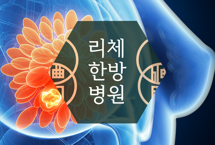리체한방병원 이미지