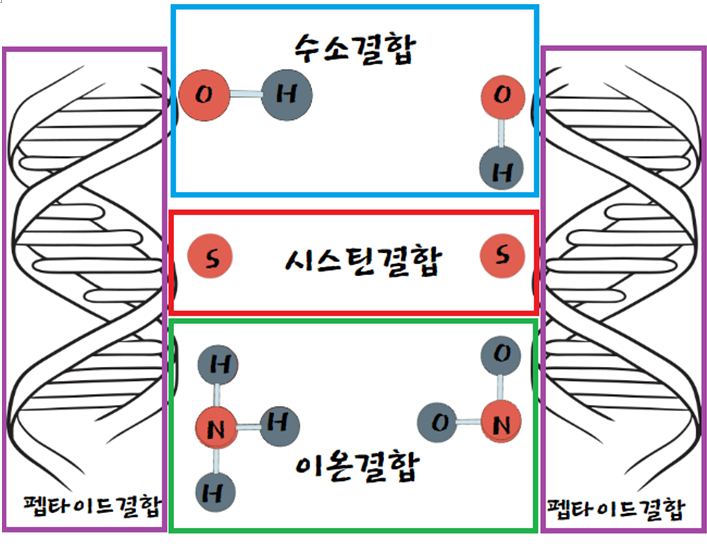 미-살롱 이미지