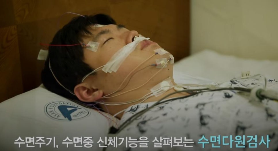 다원렌탈 이미지