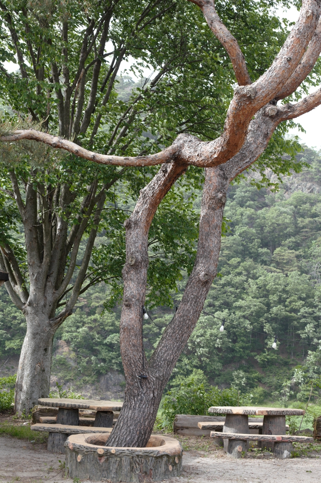 청산한옥스테이 이미지
