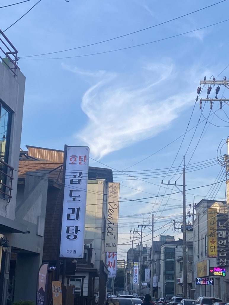 호탄곱도리탕 이미지