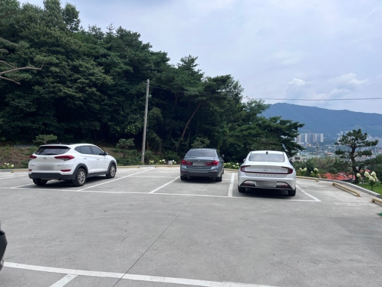 솔카페 이미지