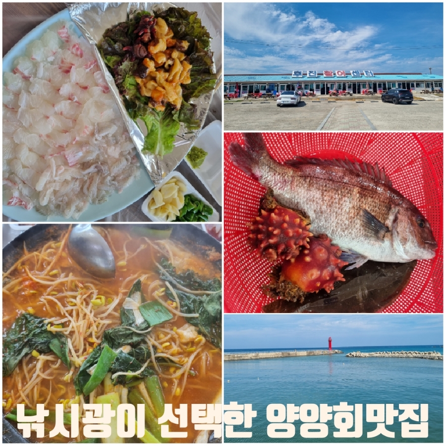 오고또오고문수네 이미지