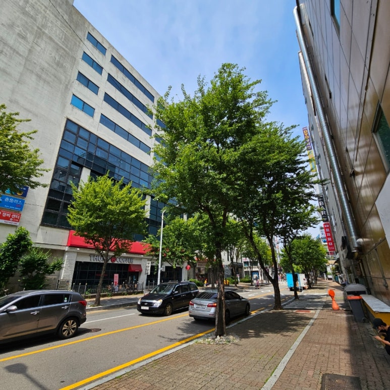 까르푸일산점 이미지