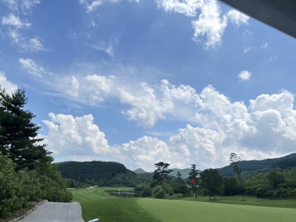 오투그린 이미지
