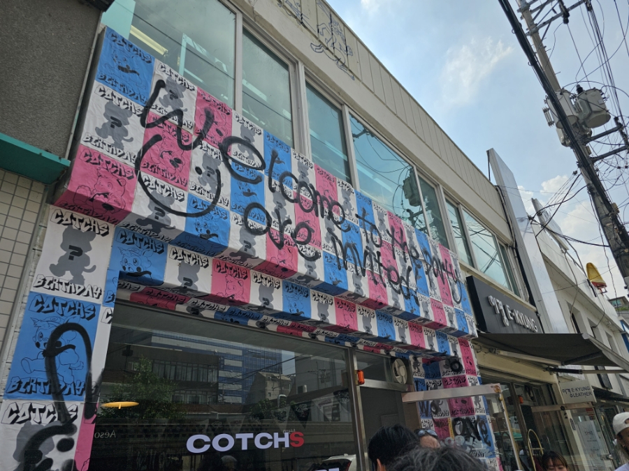 카치스(COTCHS) 이미지