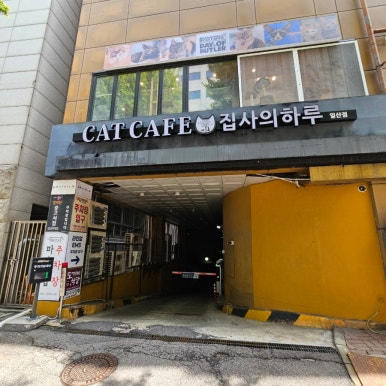 까르푸일산점 이미지