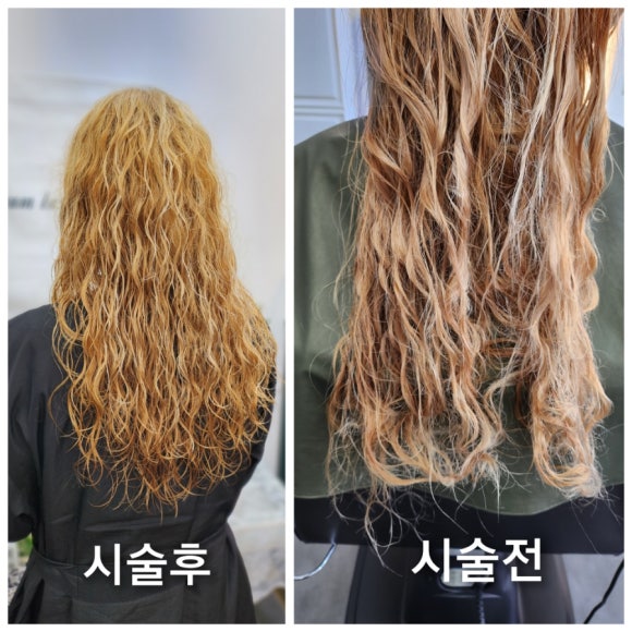 살롱드아리아 이미지