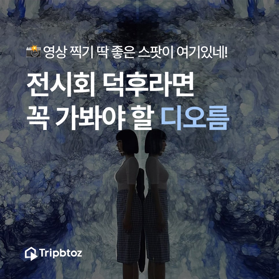 오름미디어 이미지