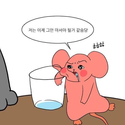 광안리성수 이미지