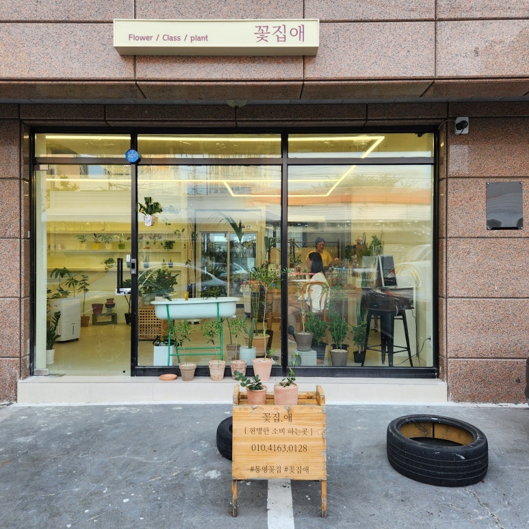 꽃집애 이미지