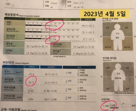 바디업헬스 이미지