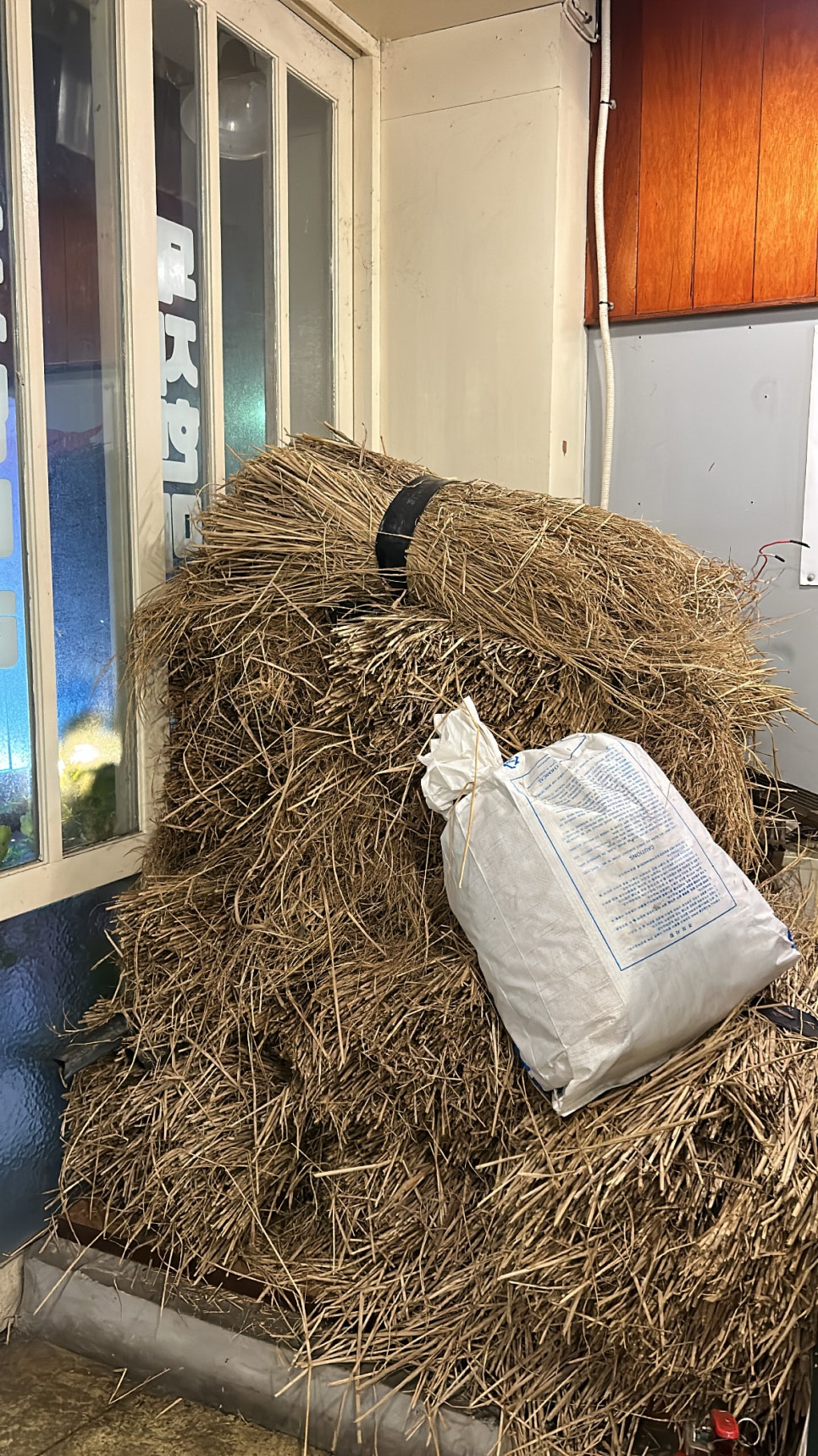 육학년 육반 이미지