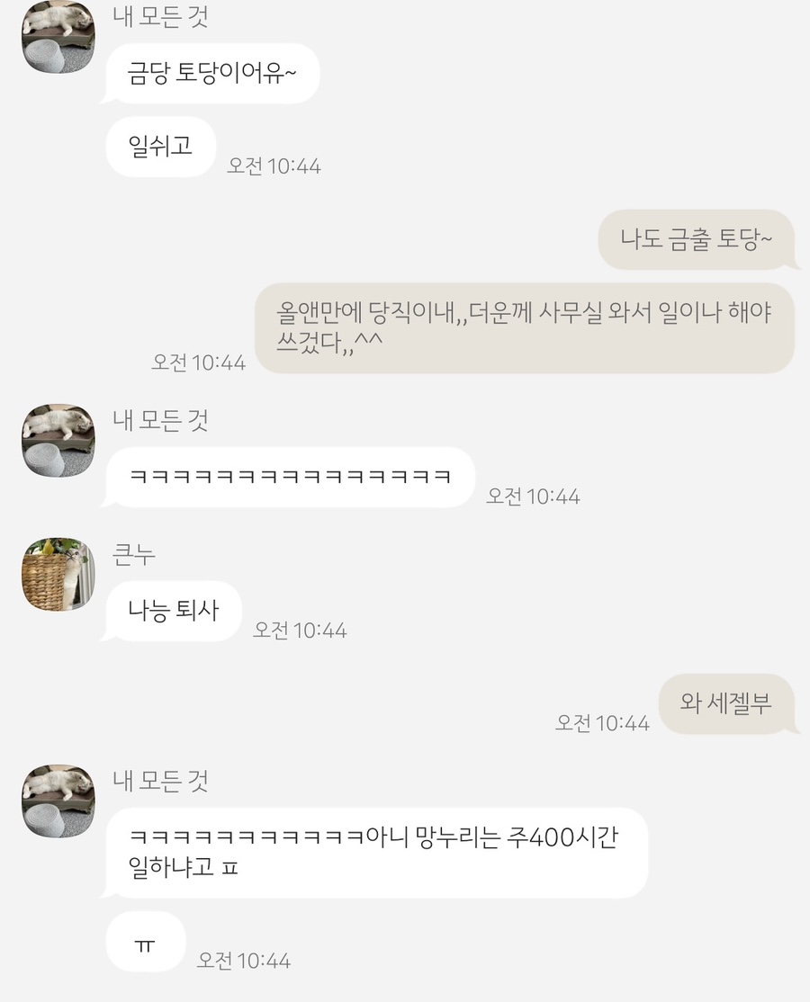 큰누리 이미지