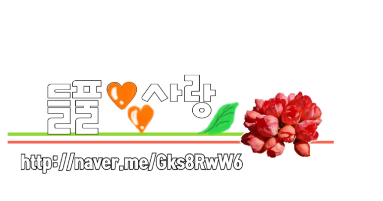 코아패션 이미지