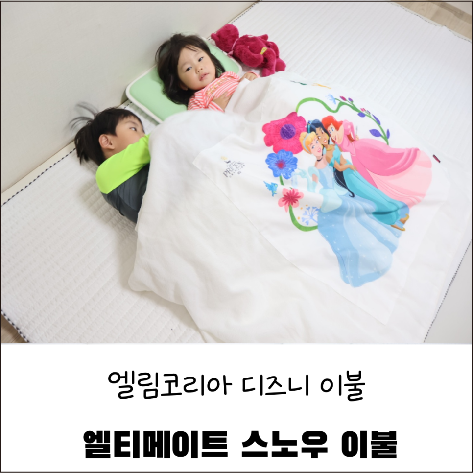 엘티코리아 이미지