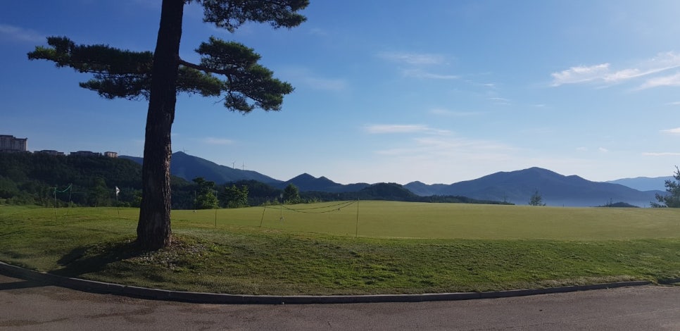 오투그린 이미지