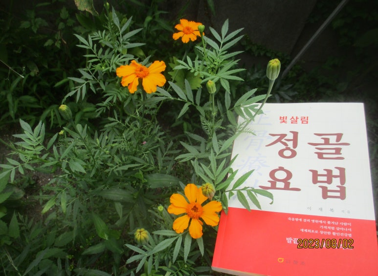 빛살림정골요법 이미지