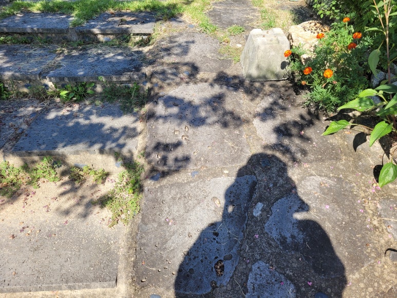 황금코다리곡성점 이미지