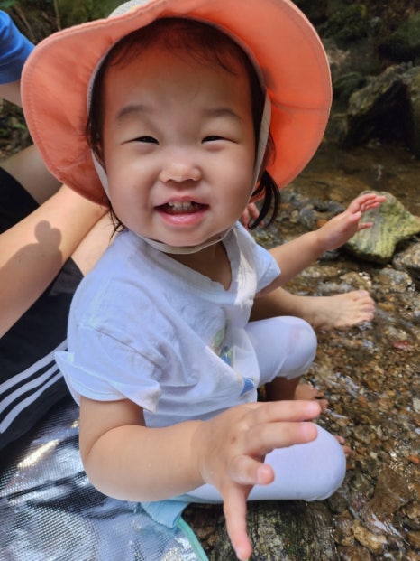 빽빽상회 이미지