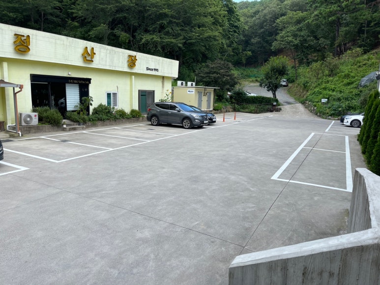 1995카페 이미지