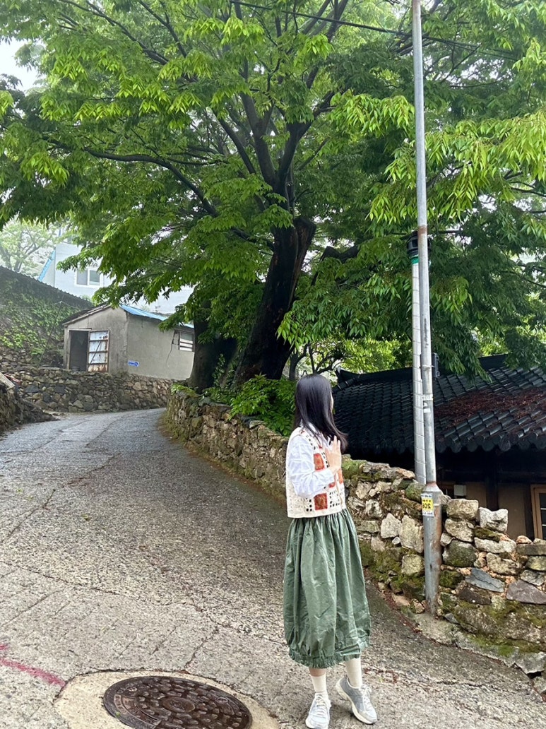 호박패션몰 이미지