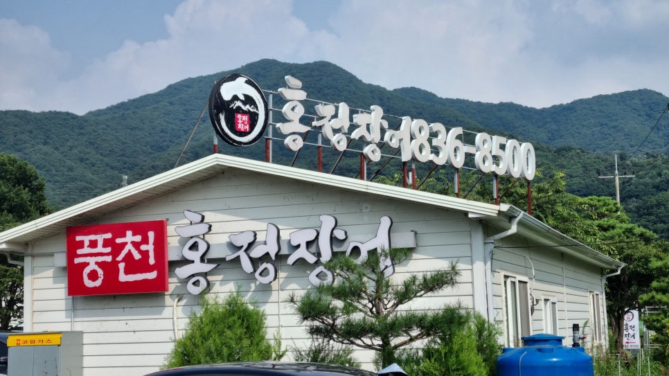 홍정장어 이미지