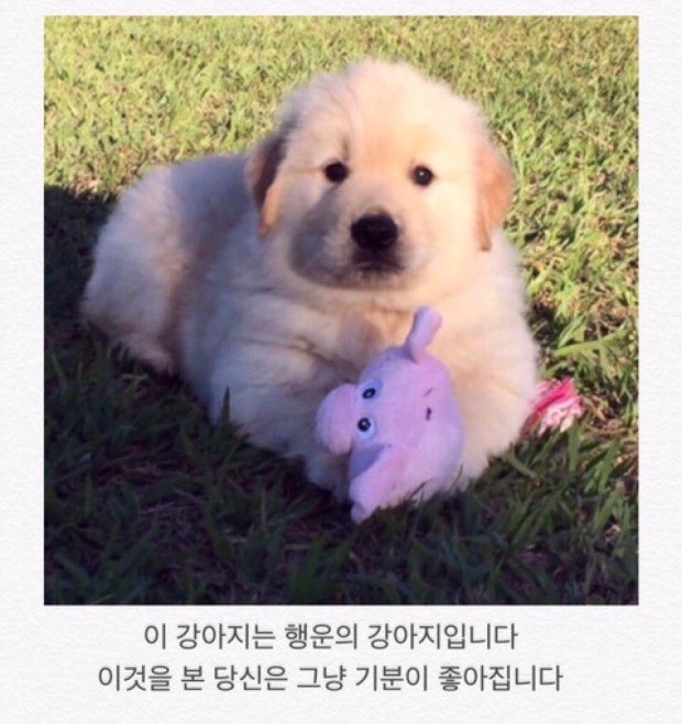 음 이미지