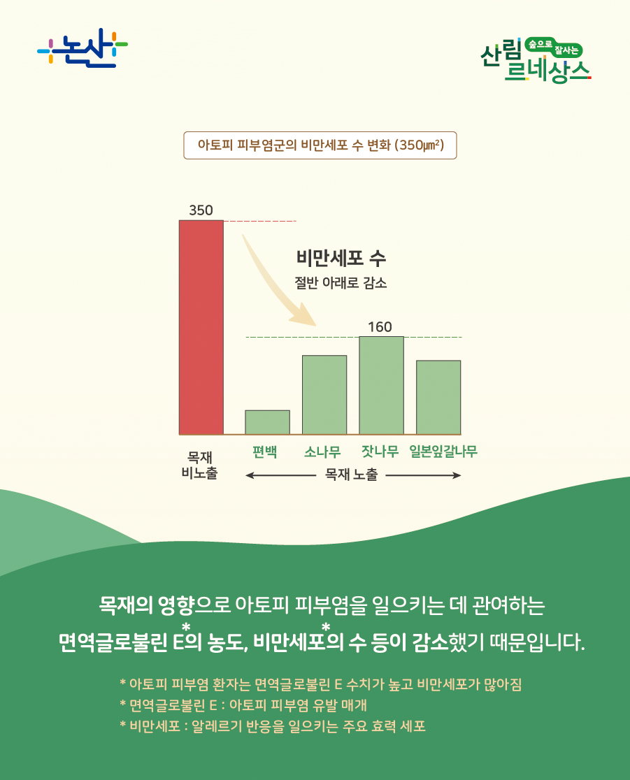 우리목재 이미지