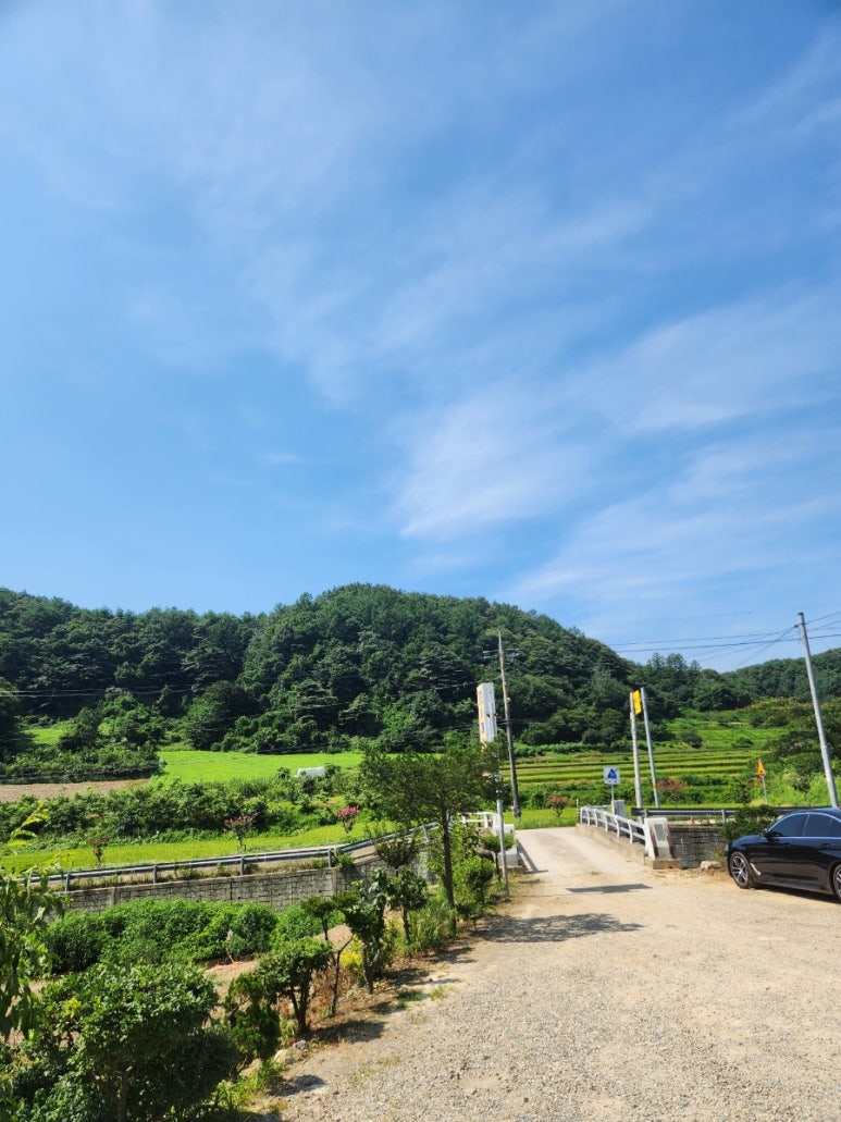 꼬꼬와메밀국수 이미지